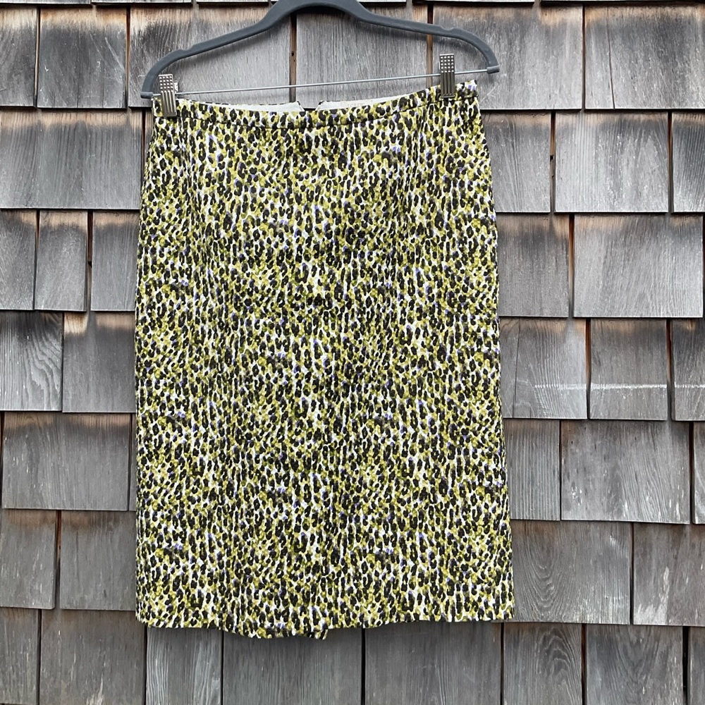 J.Crew Skirt